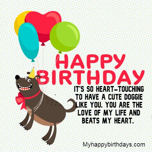 Birthday Wishes For Dog 2