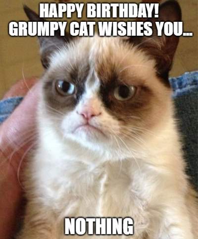 Happy Birthday Grumpy Cat Wishes You...nothing 1