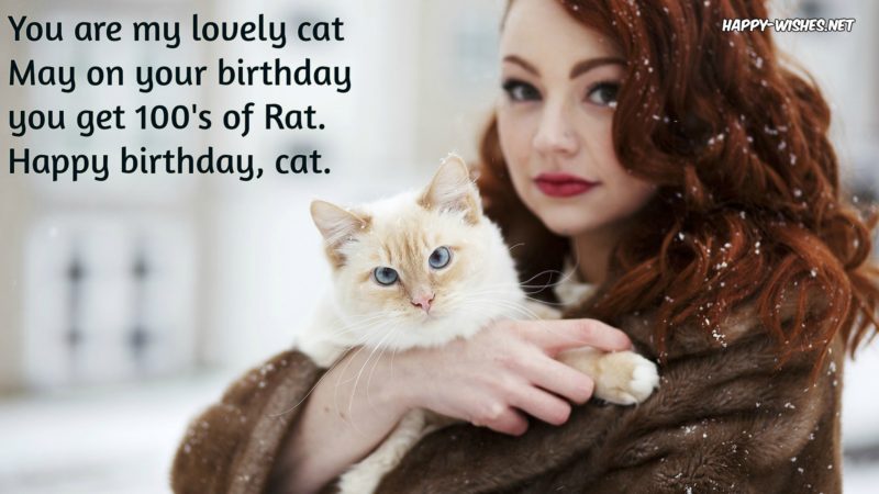 Happy Birthday Quotes For Cats2
