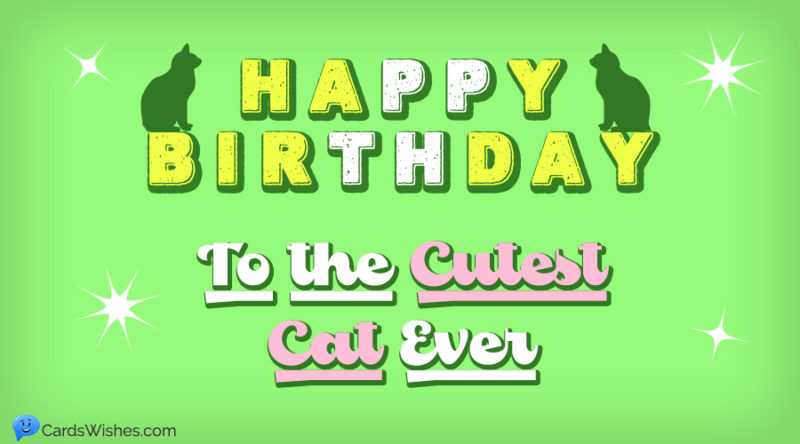 Happy Birthday Cat Featured
