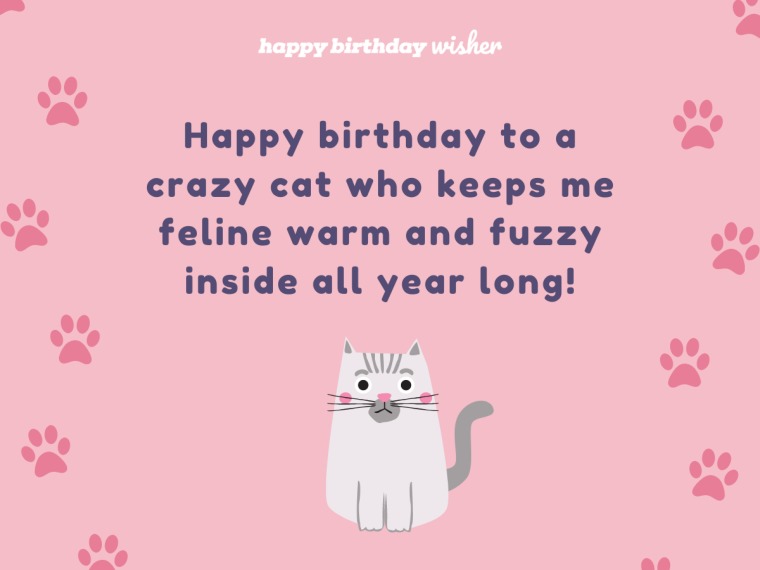 Happy Birthday Crazy Cat Mb