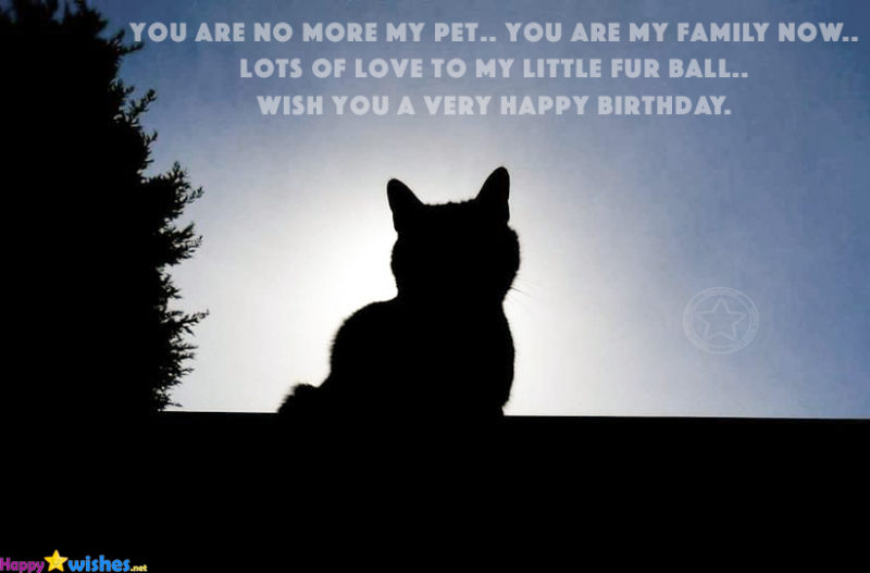 You Are My Family Wish You A Very Happy Birthday Cat